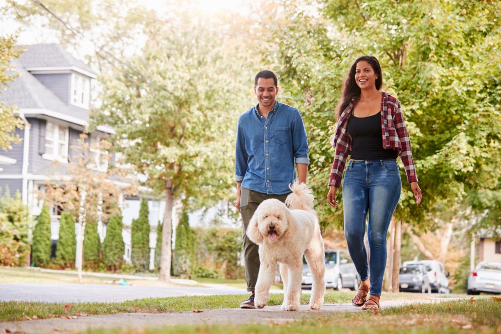 couple walking a poodle